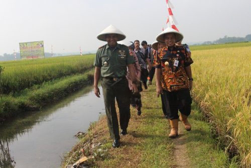 Bupati Tasdi