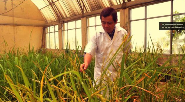 Prof Totok Agung